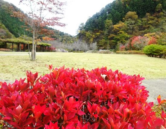 小金沢公園