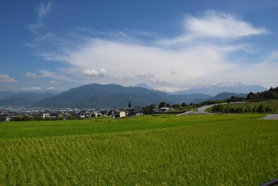 新利根川河川公園