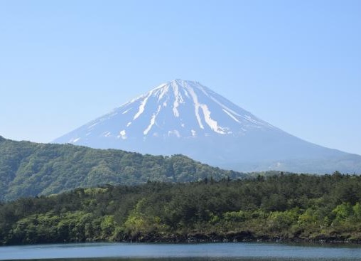 西湖根場浜の眺望写真