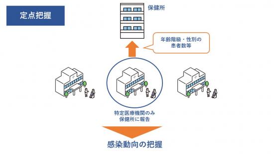 定点把握