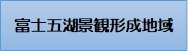 12fujigokokeikan2