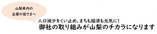 企業版マニフェストアイコン