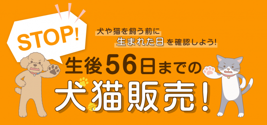 kankyousyou56nichi