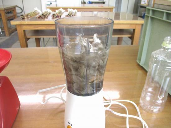 画像：和紙の原料をミキサーで粉砕