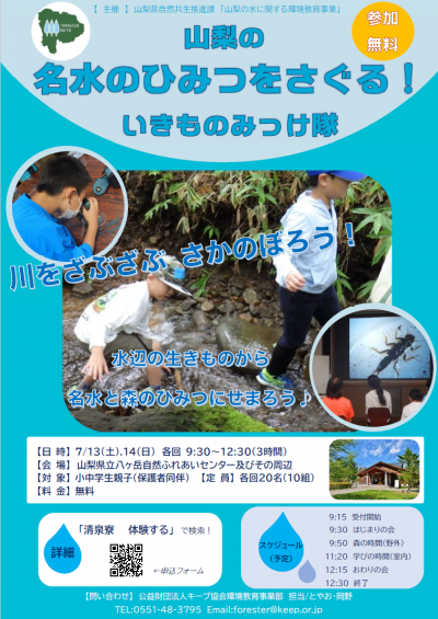 202407chirashi