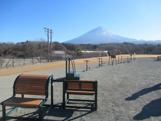 鳴沢