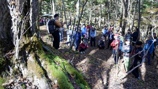 trail1
