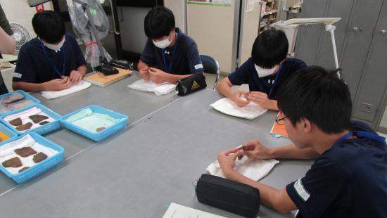 画像：土器の観察の様子