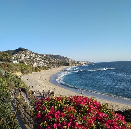 カリフォルニア州訪問1