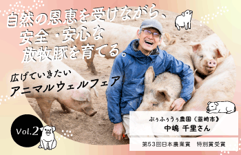 houbokubuta2_01