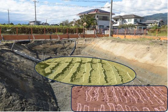 天地返しとは？（池田神明遺跡）