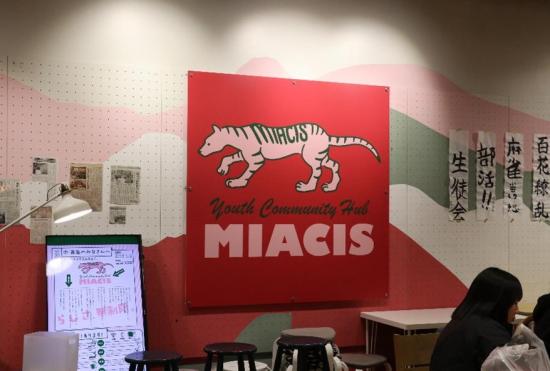 Miacis1画像
