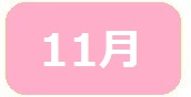11gatumido