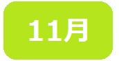 11gatumido