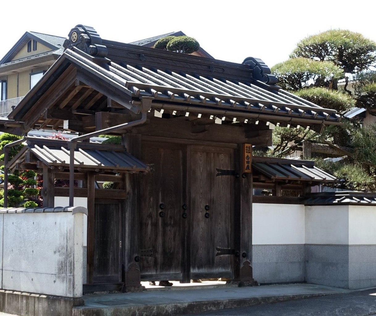 TY0186-01.jpg