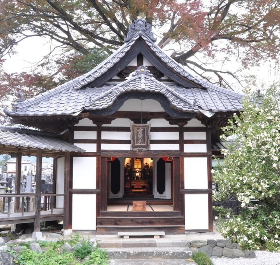 TY0191-01.jpg