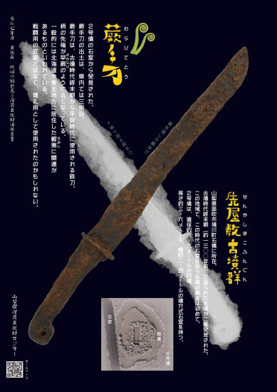 画像:クリアフォルダーの見本