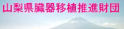 臓器移植推進財団