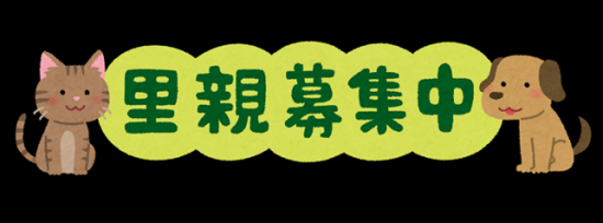 里親募集中1