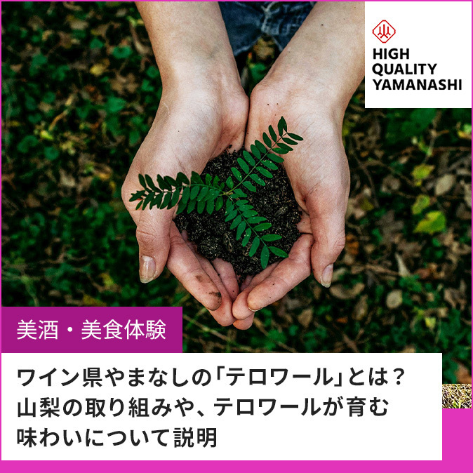 テロワール