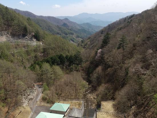 ダム堤体下流側から2025年5月1日の写真