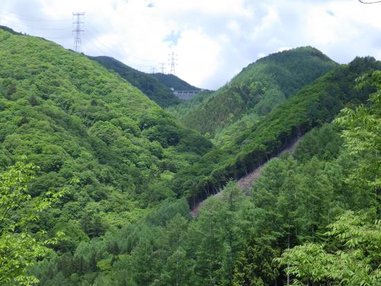 県道柳平塩山線の途中から2025年5月28日の写真