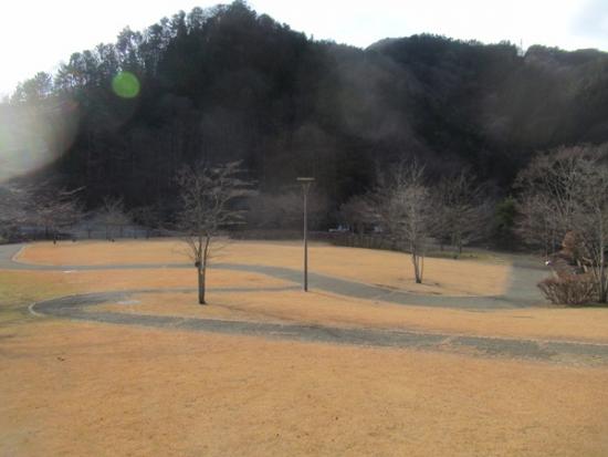 令和6年12月27日の小金沢公園