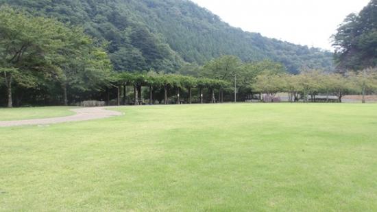 令和7年8月22日の小金沢公園