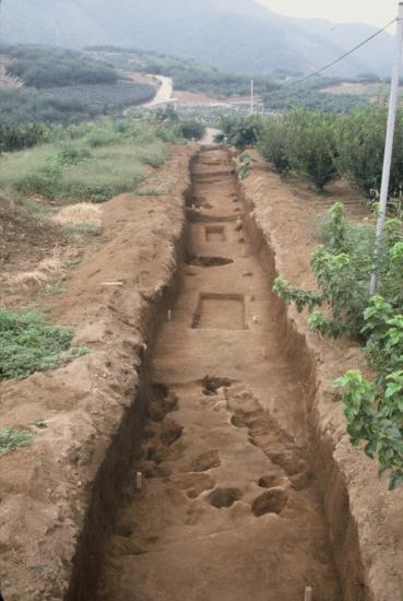 0184_水呑場北遺跡調査区