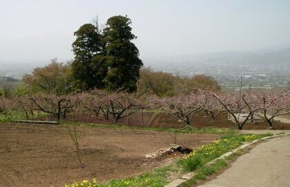 最近の花鳥山遺跡の景観