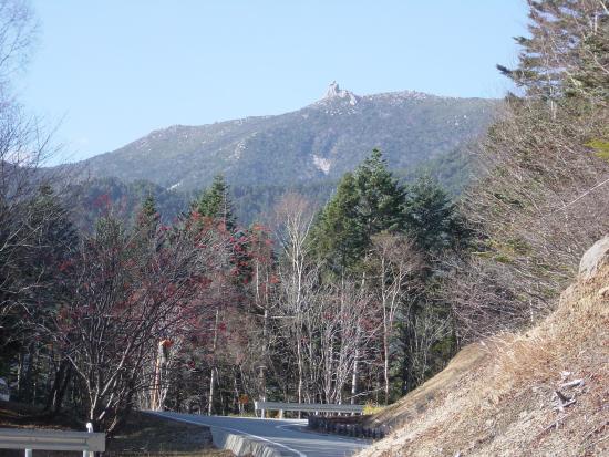 紅葉の時期の林道