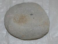 考古資料_ケース5_石器3