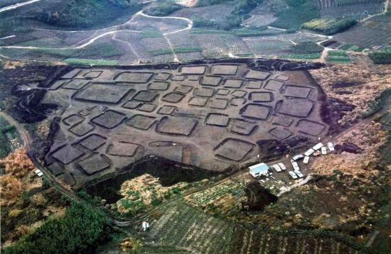 0211＿上の平方形周溝墓群1次調査全景