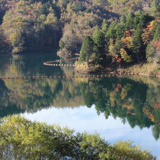 湖面に映る紅葉