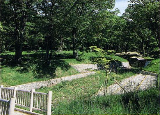 ケヤキの森と治山施設