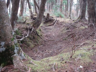 0248＿山岳信仰遺跡＿旧道1