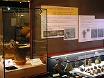 ダイズ土器展示の様子