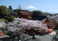 富士山本宮浅間大社