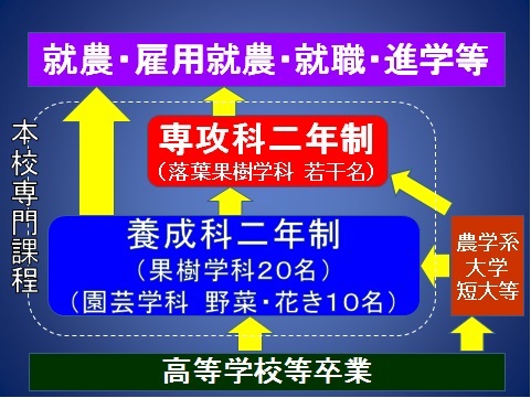 専門課程図2