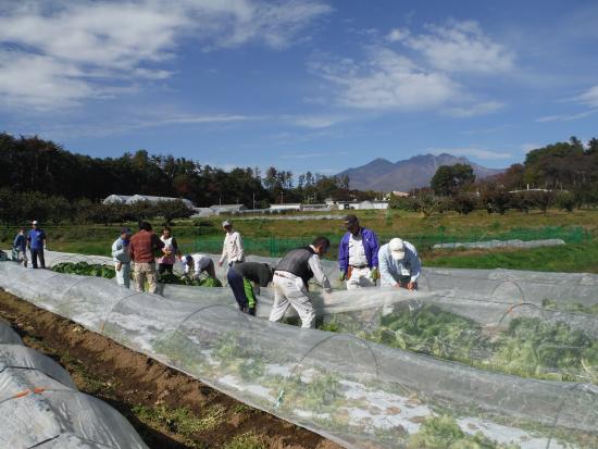 26年度週末農業塾野菜コース