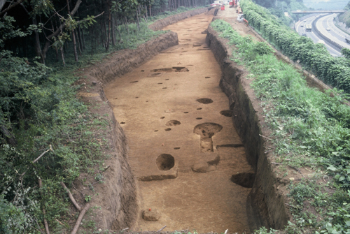 南大浜遺跡全景