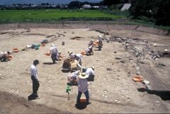 16世紀後半頃の仲田遺跡の田んぼ