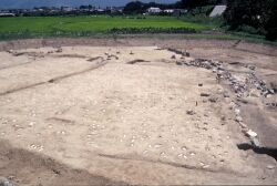 NO8仲田遺跡図11区足跡の状況250