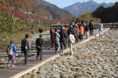 遊歩道を歩く