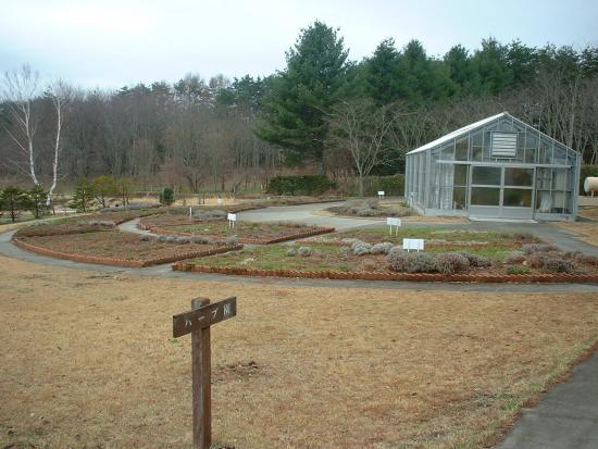 薬用植物園