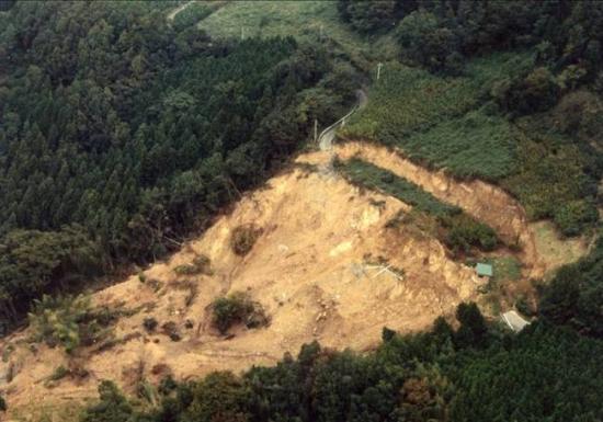 地すべり被害地の状況