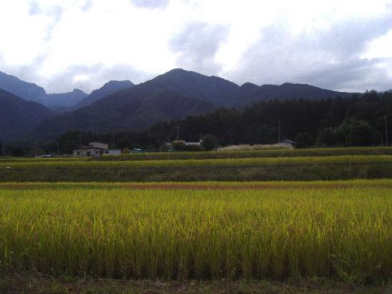 白州地区