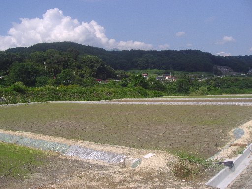 大武川地区