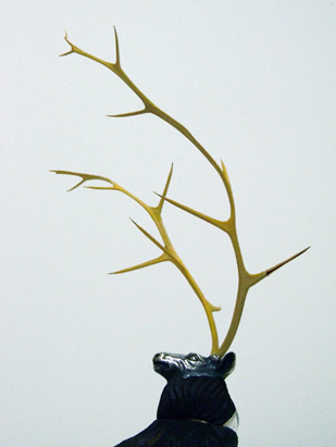 ibara