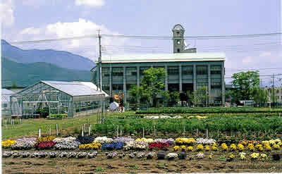 岳麓試験地（画像）